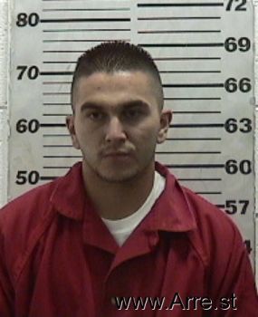 Julian  Martinez Mugshot