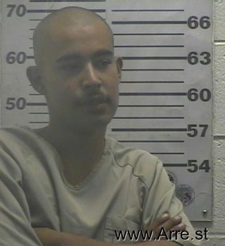 Julian  Martinez Mugshot