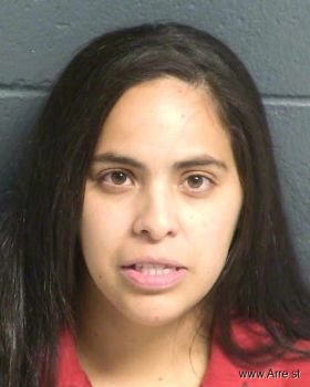 Karen  Castillo Mugshot