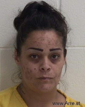 Karen Lorena Sullivan Mugshot