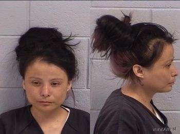 Karen Ann Tom Mugshot