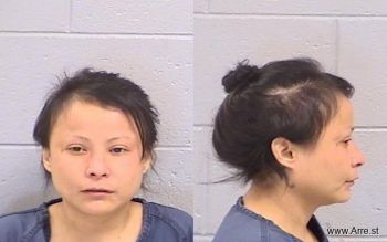 Karen Ann Tom Mugshot