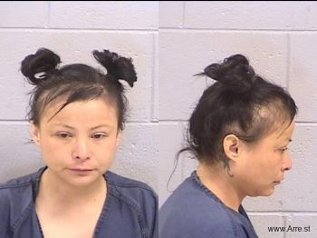 Karen Ann Tom Mugshot