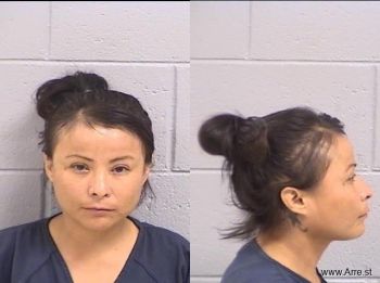 Karen Ann Tom Mugshot