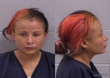 Karen Ann Tom Mugshot