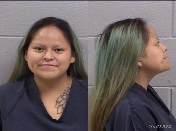 Kia Ann Peshlakai Mugshot