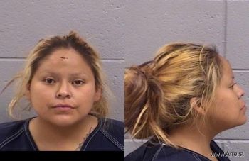 Kia Ann Peshlakai Mugshot