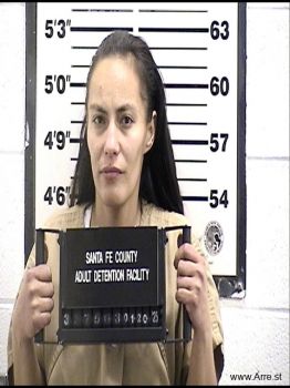 Kimberly M Tsoodle Mugshot