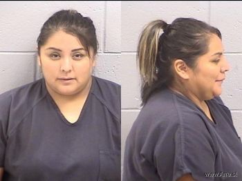 Kristy Lynn Lee Mugshot