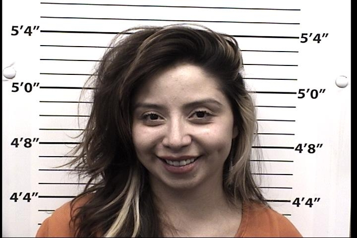 Leandra Salena Silva Mugshot