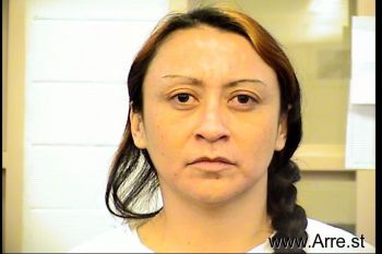 Lisa Michelle Chavez Mugshot