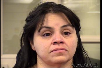 Lisa D Chavez Mugshot