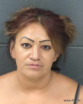 Lourdes Patricia Acosta Mugshot