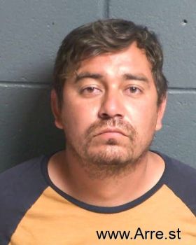 Luis  Lozano-fernandez Mugshot