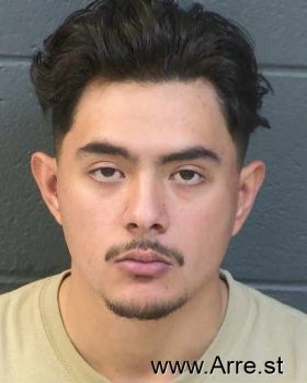 Luis Fernando Villegas Mugshot