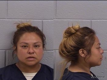 Lana Ann Kee Mugshot