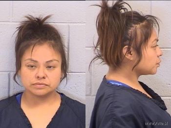 Lana Ann Kee Mugshot