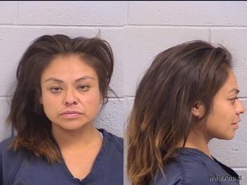 Lana Ann Kee Mugshot