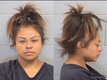 Lana Ann Kee Mugshot