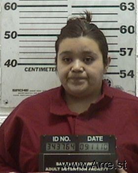 Laura  Smith Mugshot