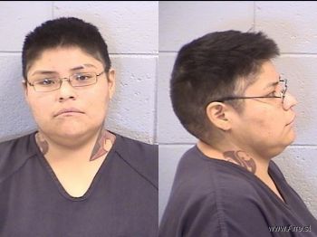 Ledeana Lynn Begay Mugshot