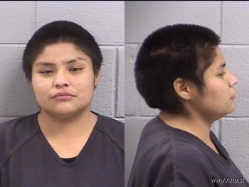 Ledeana Lynn Begay Mugshot