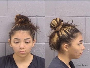 Leslie  Hernandez Mugshot