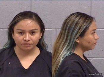 Lindsay Patty Castillo-dilyou Mugshot