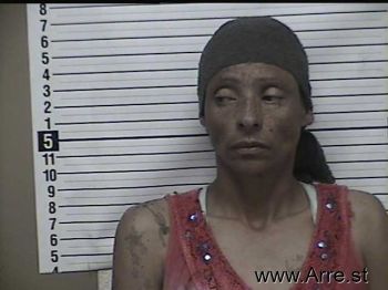 Linnie Eve Ferguson Mugshot