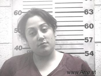 Lisa  Baca Mugshot