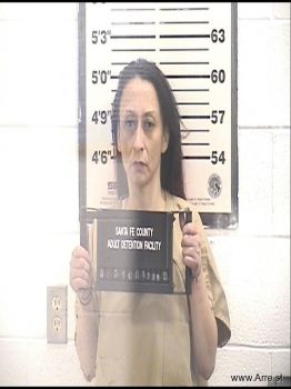 Lisa Michelle Chavez Mugshot