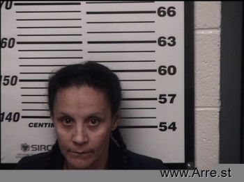 Lisa  Chavez Mugshot