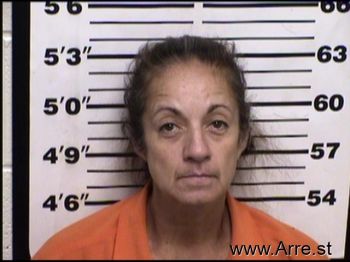 Lisa M Duncan Mugshot