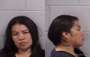 Lisa Marie Jackson Mugshot