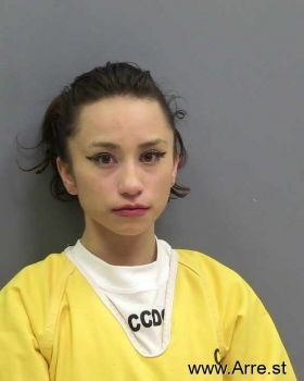 Lisa Nmn Lopez Mugshot