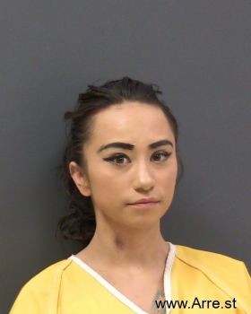 Lisa Nmn Lopez Mugshot