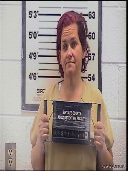 Lisa  Powers Mugshot