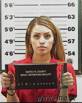 Lisa Marie Romero Mugshot