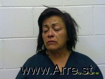 Lisa J Torres Mugshot