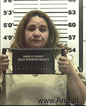 Lori S Martinez Mugshot