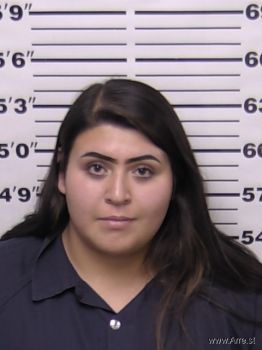 Lorisa Elena-nicols Martinez Mugshot