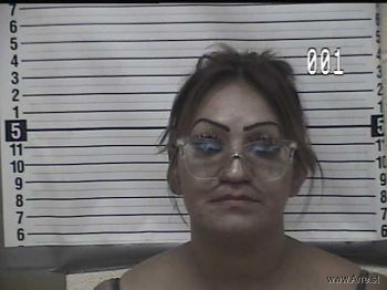 Lourdes Patricia Acosta Mugshot