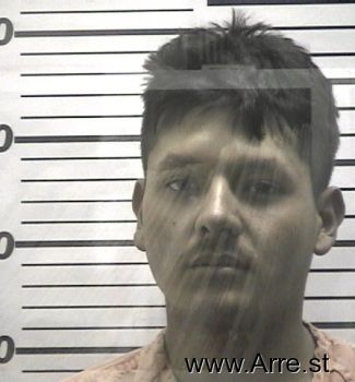 Luis  Castillo-mora Mugshot