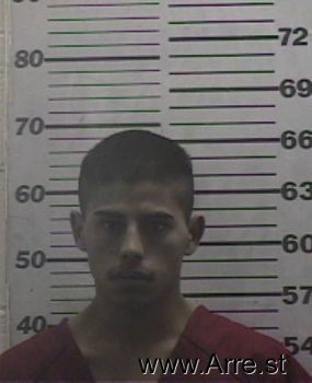 Luis Alfonso Castillo-salinas Mugshot