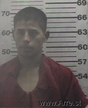 Luis Alfonso Castillo-salinas Mugshot