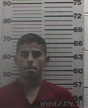 Luis Alfonso Castillo-salinas Mugshot