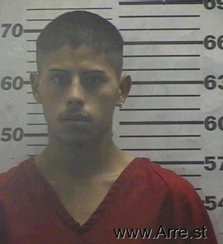 Luis  Castillo-salinas Mugshot