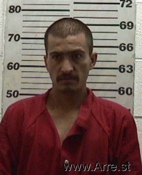 Luis  Chavez-montano Mugshot