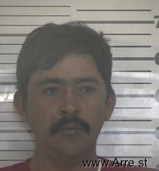 Luis  Delgado Mugshot