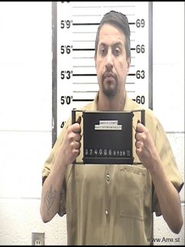 Luis Ricardo Padilla-mercado Mugshot